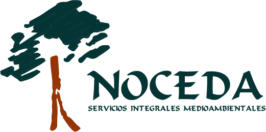 Noceda Logo